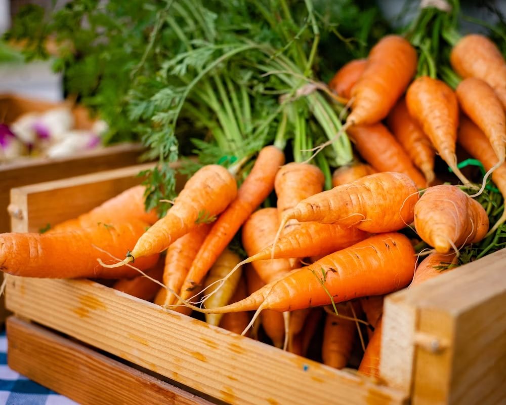 Harvest basket